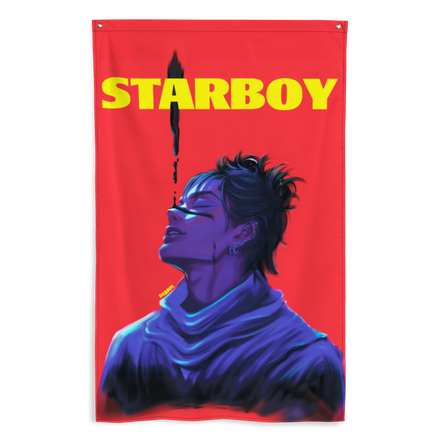 STARBOY TAPESTRY/FLAGS